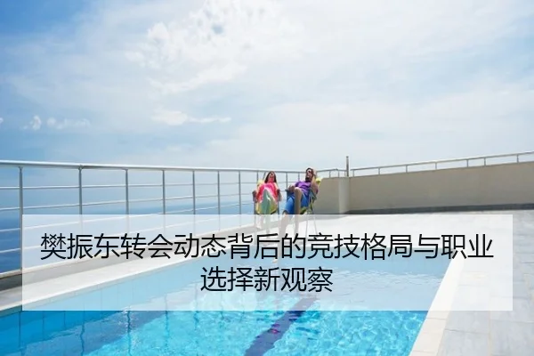 樊振东转会动态背后的竞技格局与职业选择新观察