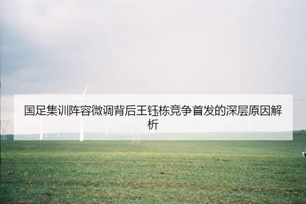 国足集训阵容微调背后王钰栋竞争首发的深层原因解析